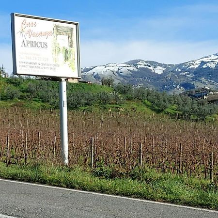La Loggetta Di Apricus Villa Olevano Romano Ngoại thất bức ảnh
