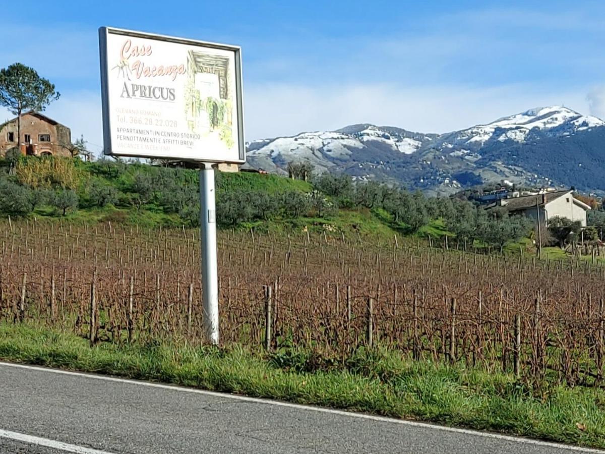 La Loggetta Di Apricus Villa Olevano Romano Ngoại thất bức ảnh