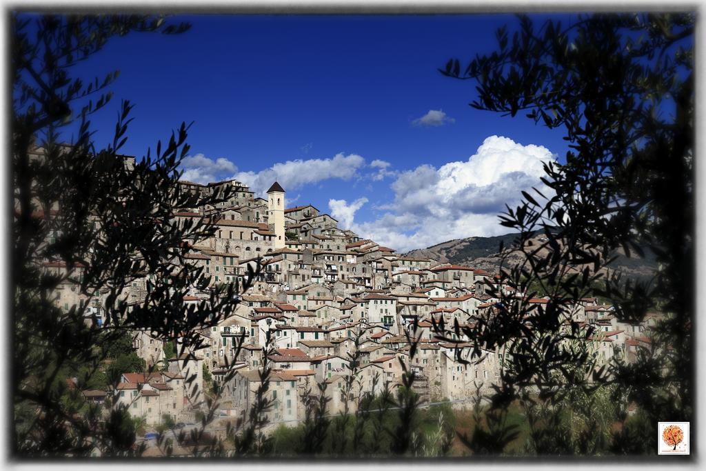 La Loggetta Di Apricus Villa Olevano Romano Ngoại thất bức ảnh